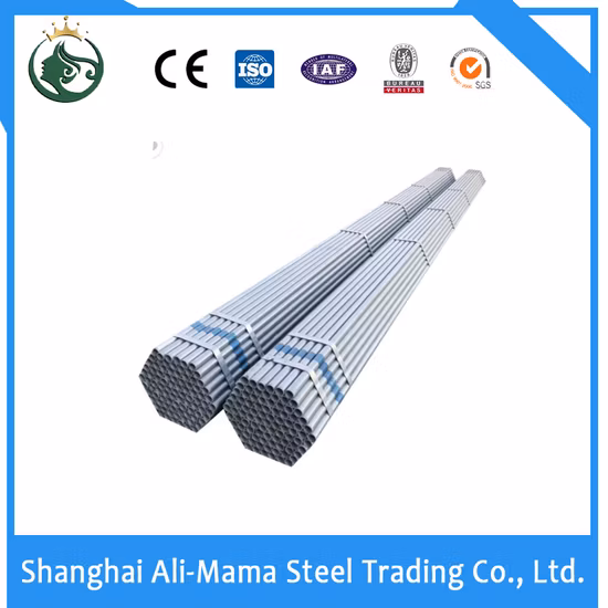 1/6pipe Stainless Steel Duplex 2205 ASTM A789 Seamless Pipe Uns S31803 Stainless Steel Tube